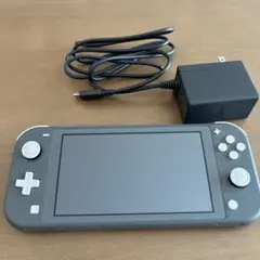 Nintendo Switch Lite グレー 本体と充電器付き