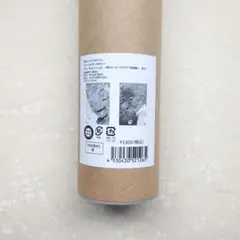 ヒロアカ原画展 A2アートポスター2枚セット【The Beginning】