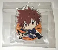 リボーン 沢田綱吉 ミニアクリルスタンド ひこくじ