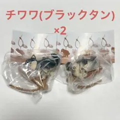 ふんばりーぬ どこでもふんばりーぬ チワワ(ブラックタン)2個セット