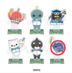 教育番組 キャベツ