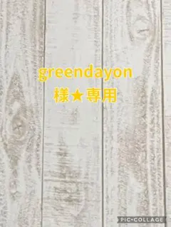 greendayon様★専用