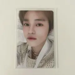 チョンロ シーグリ トレカ