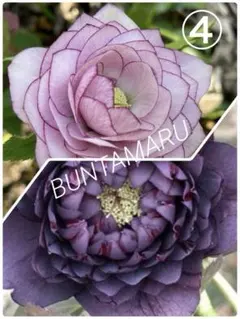 eM＊プロフ必読お願いします♪様 リクエスト 2点 まとめ商品