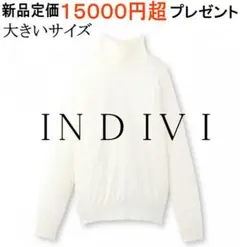 【新品タグ付】INDIVI★秋冬ニット44/48【新品定価１万5千超プレゼント】