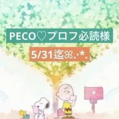 2026年最新】プロフ確認願いますの人気アイテム - メルカリ