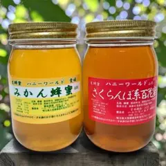 希少　特選みかん蜜　さくらんぼ百花　生はちみつ　600g2本セット　国産　非加熱のサムネイル