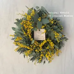 Item thumbnail for item 796454c5-fb60-46ca-bd28-759128dd58f2