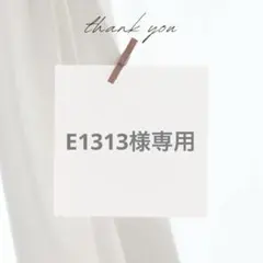 E1313様 リクエスト 2点 まとめ商品