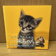 美品】小沢健二「うさぎ！」本 3冊セット - メルカリ