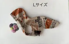 Item thumbnail for item 0f749009-ae8b-4c0e-bbd7-f5ae770c4e24