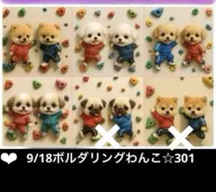 確認用　9/18ボルダリングわんこ☆301 限定パネル
