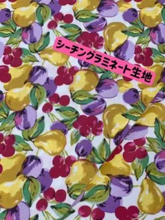 30·ᰔᩚ【1ヤード】年末セール♬キャスキッドソン・シーチングラミネート生地