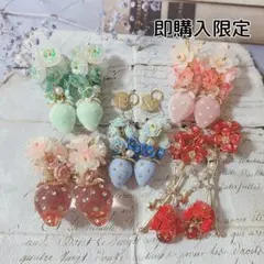 《即購入限定》いちごチャーム　5ペア