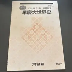 おまけ付き】河合塾 早慶大世界史 沼田ノート＋春・夏・秋・直前講習