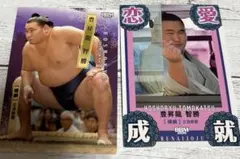 Item thumbnail for item 84b1d085-c39d-4ad1-b09f-f21fc7672067