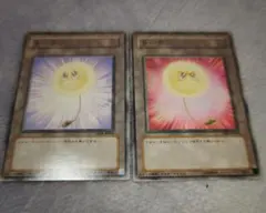 遊戯王　綿毛トークン　ノーマル　２種類