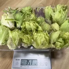 ぷりん様専用