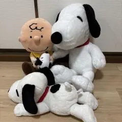 SNOOPY まとめ買い ぬいぐるみ チャーリーブラウン 3個