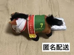 サラブレッドコレクション ワンダーアキュート ②