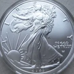 2025年最新】ウォーキングリバティの人気アイテム - メルカリ