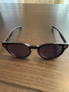 eyevan Webbing sun DT 鼈甲カラー 51-21-145