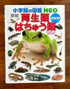 小学館の図鑑NEO「両生類はちゅう類」DVDつき