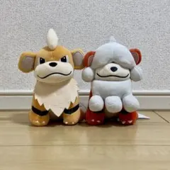 ポケモンフォーカス ぬいぐるみ ガーディ 通常 ヒスイのすがた 2点セットのサムネイル