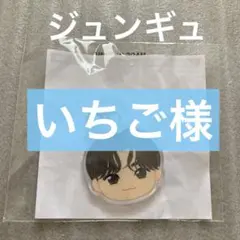 TREASURE カプセルトイ ジュンギュ めじるし ポップアップ