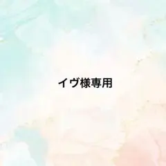 イヴ様 リクエスト 2点 まとめ商品