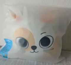 BOYNEXTDOOR ボネクド プネクド クッション ソンホ