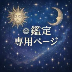 Ｗ様　専用