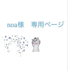 noa様専用ページ