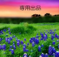 JOHNBULL グレー トレーナー Lサイズ