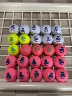 ウィルソンベアロストボール　25球