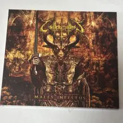 CAUTERIZATION / Males Infestus