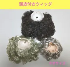 2025年最新】ブライス 頭皮付きウィッグの人気アイテム - メルカリ