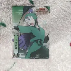 忍たま乱太郎 立花仙蔵 トレーディングクリアカードコレクション