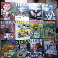sinra