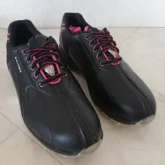 ★新品未使用★MIZUNO ゴルフシューズ 25.0 EE ブラック 2025年最新】ミズノ ゴルフシューズの人気アイテム - メルカリ