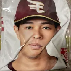 中島大輔選手　楽天イーグルス　ガラポン　1等　助手席　カバー