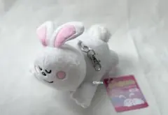 【新品未使用タグ付き】ギンビス　たべっこどうぶつ うさぎ すやすや　パスケース