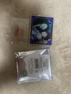 名探偵コナン トレーディングアクリルマグネット スペシャル 工藤新一