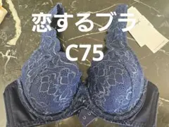 251300 トリンプ　恋するブラ　ブラジャー　c75