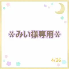 ＊みい様専用＊　新体操　フープカバー