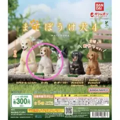 まてぼうけ犬4 ビーグル