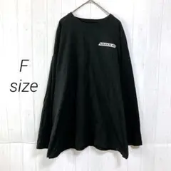 GANGWE　ADVANTURE　ロンT　長袖　Tシャツ　　F