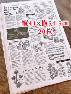 ニュースペーパージャーナル フランス新聞紙風包装紙 英字新聞 20枚 41