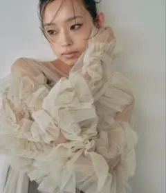 【アンドレスド/ANDRESD】デコラティブチュールトップス　ベージュ