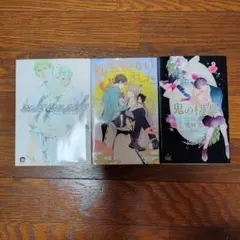 ボーイズラブ漫画文庫本 3冊セット